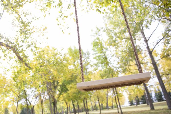 Cost of Tree Swing Installation in Jackson