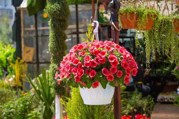 Cost of Hanging Planter Installation in Jackson