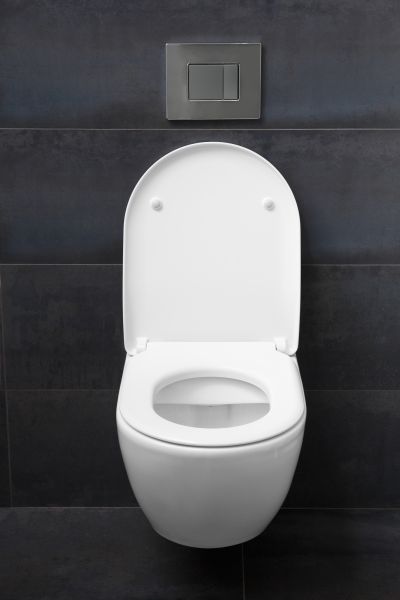 Cost of Toilet Lid Installation in Jackson