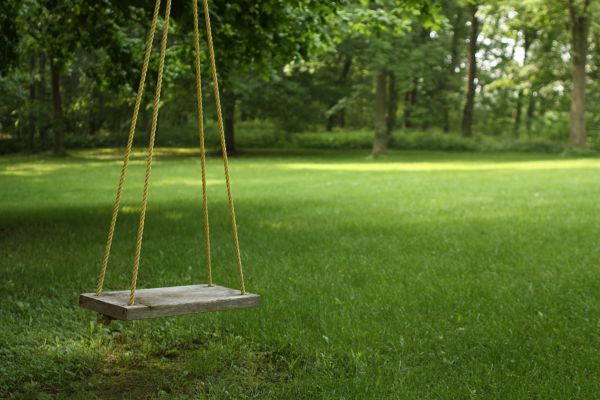 Cost of Rope Swing Installation in Jackson