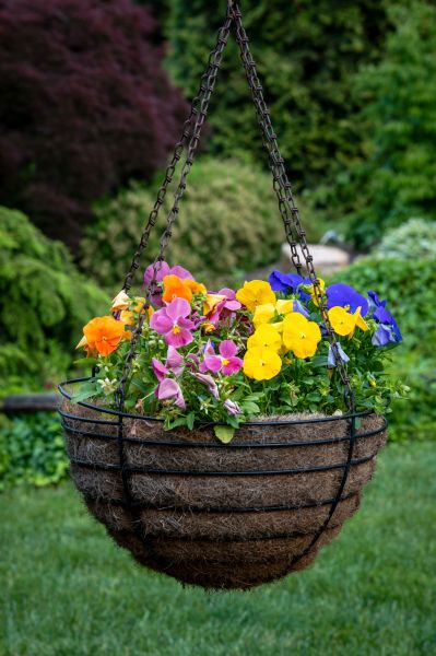 Cost of Hanging Basket Installation in Jackson