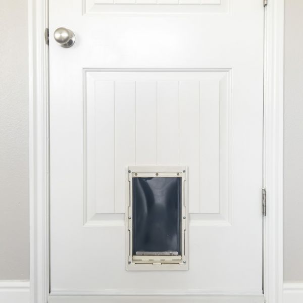 Cost of Pet Door Repair in Jackson