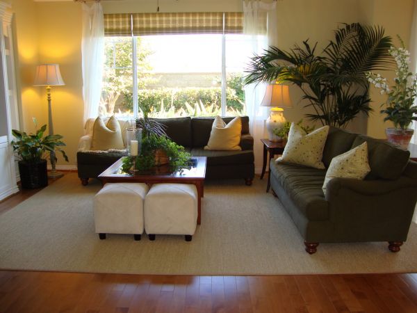 Cost of Valance Rod Installation in Jackson