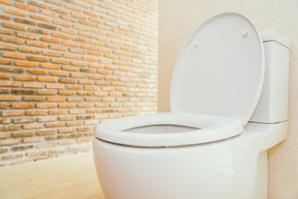 Cost of Toilet Seat Repair in Jackson