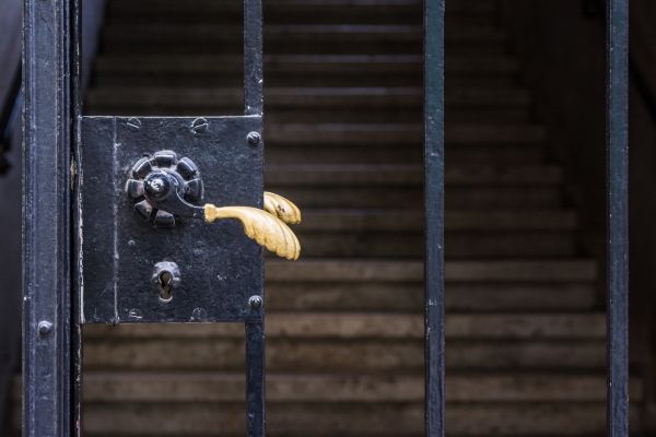 Cost of Gate Handle Replacement in Jackson
